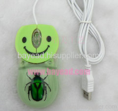 Real Insect Amber Optical Mouse