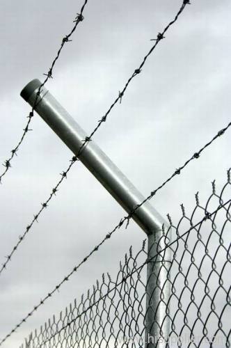 one line barbed wire