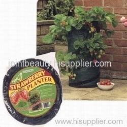 Pop Up Strawberry Planter