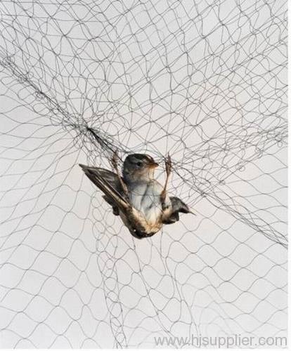 Bird control netting