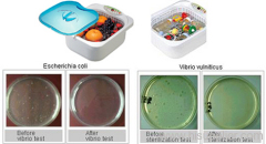 Ultrasonic Vegetable Cleaner