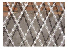 staight line razor wires