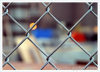 Chain Link Fence