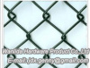 Chain Link Fence