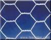 pvc hexagonal wire netting
