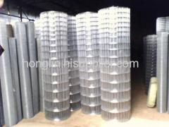 Hot DIP Galvanized Welded Meshes