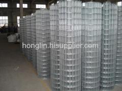 Galvanized Welded Wire Mesh