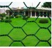 hexagnal wire mesh