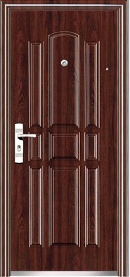 Steel Security Doors