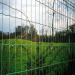Wire mesh protecting fence