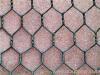 PVC coated hexagonal wire nettings
