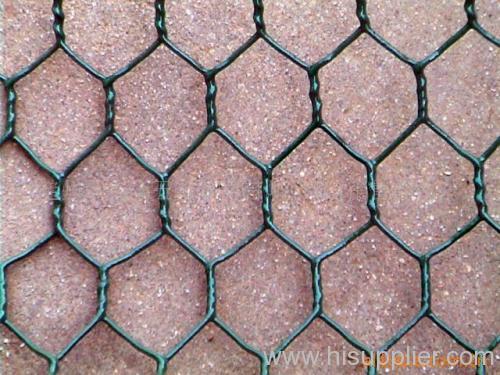 Hexagonal wire netting