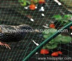 birds control netting