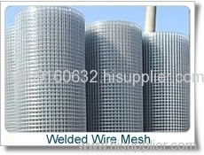 Galvanized Welded Wire Mesh