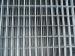 Galvanized mesh