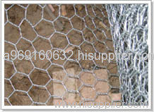 hexaganal wire mesh