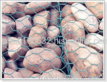 hexaganal wire mesh