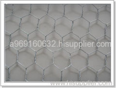 hexaganal wire mesh