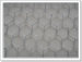 hexaganal wire mesh