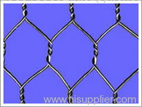 hexaganal wire mesh