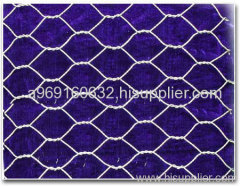 hexaganal wire mesh