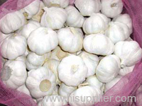 Pure white garlic