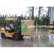 HK Greenfrom International Limited