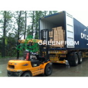 HK Greenfrom International Limited