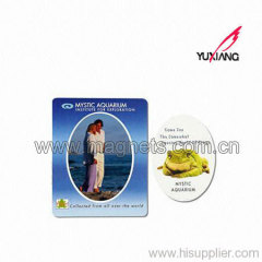 Picture Frame Refrigerator Magnet