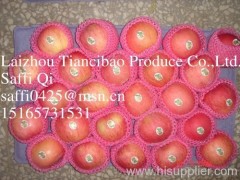 Tiancibao apples
