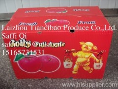 Tiancibao fresh fuji apple