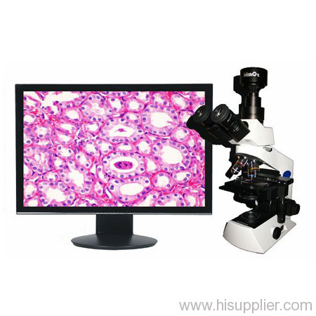 Digital Microscope