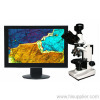 Digital Polarizing Microscope