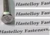 hastelloy C276 Screw, hastelloy C22 screw,hastelloy X Bolts