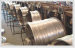 electro galvanized wire