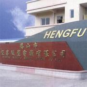 Heshan Hengfu Micro Motor Co.,Ltd.