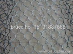 Hexagonal wire netting