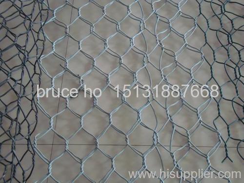 Hexagonal wire netting