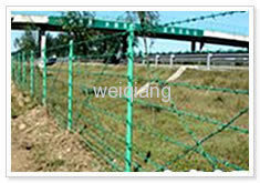 barb wire