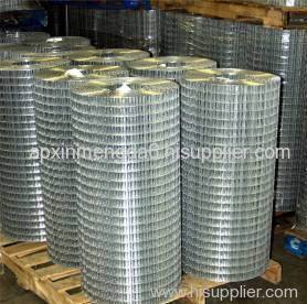 Galvanized Welded Wire Mesh