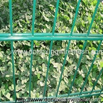 Double Wire Fencing