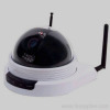 ip cameras