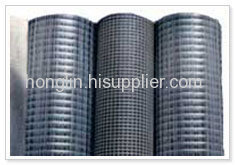 Galvanized Welded Wire Mesh