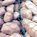 PVC Coated Gabion Boxes