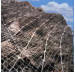 steel wire mesh