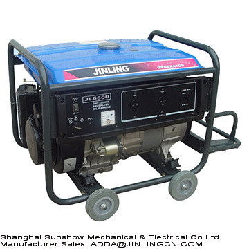 2600 Watt Surge Portable Gasoline Power Electricity Generator
