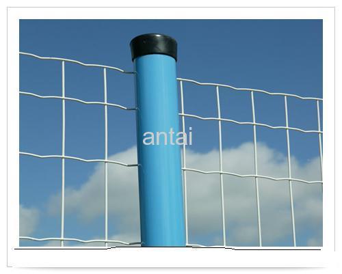 Euro Welded Fencing