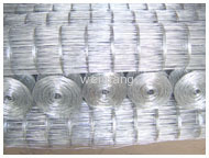 Galvanized Before Welded Wire Meshes