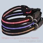 pet collar