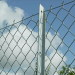 fencing mesh